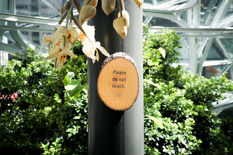 Visiting Seattle Amazon Spheres with Young Toddler